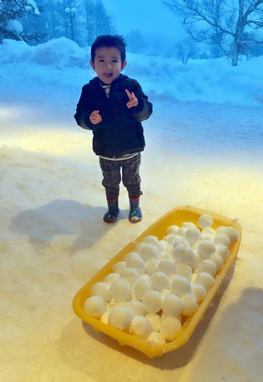 Snowball Chalet At Madarao Mountain Ξενοδοχείο Iiyama Εξωτερικό φωτογραφία