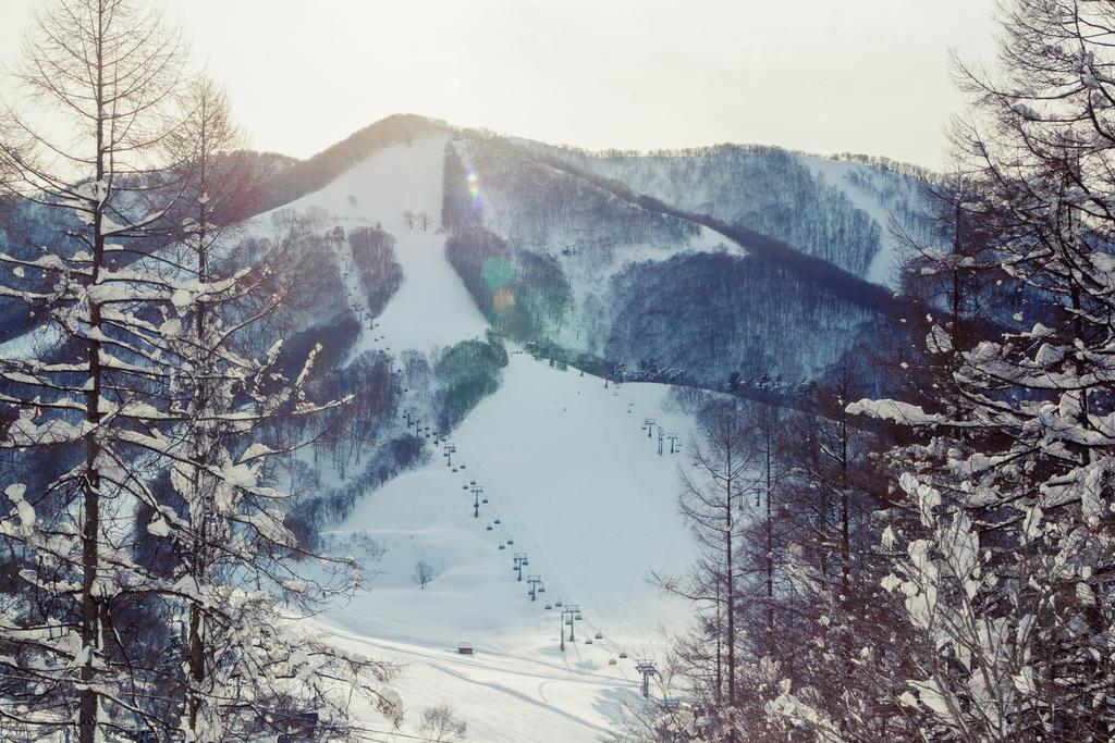 Snowball Chalet At Madarao Mountain Ξενοδοχείο Iiyama Εξωτερικό φωτογραφία
