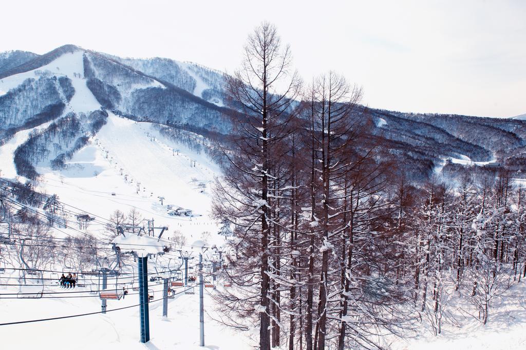 Snowball Chalet At Madarao Mountain Ξενοδοχείο Iiyama Εξωτερικό φωτογραφία